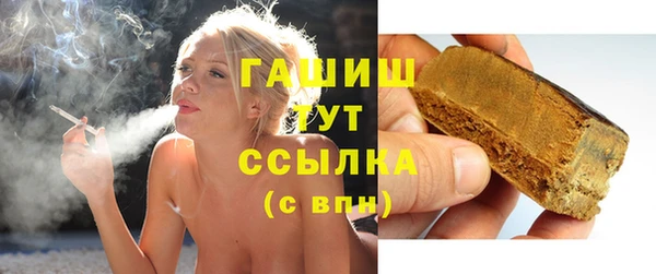 молекула духа Богородицк