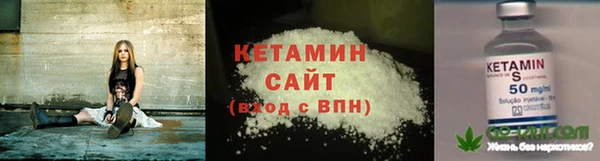 молекула духа Богородицк