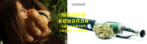 молекула духа Богородицк