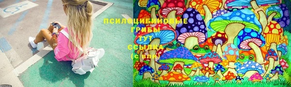 прущий лед Богородск