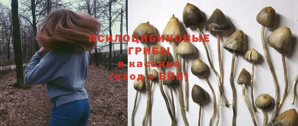 молекула духа Богородицк