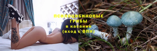 таблы Богданович