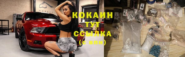 молекула духа Богородицк