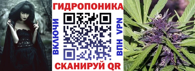 Конопля планчик  OMG ссылки  Тюмень 